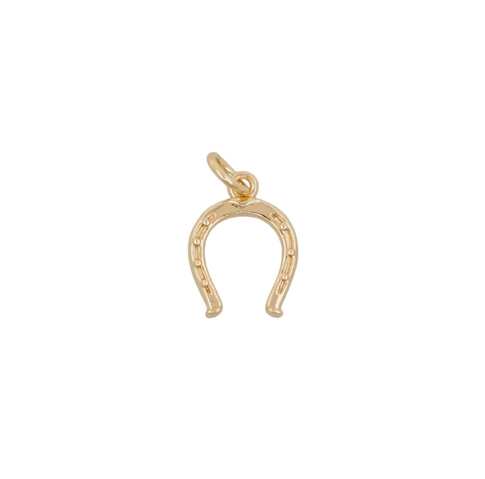 Horseshoe Charm