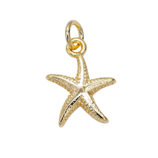 Starfish Charm